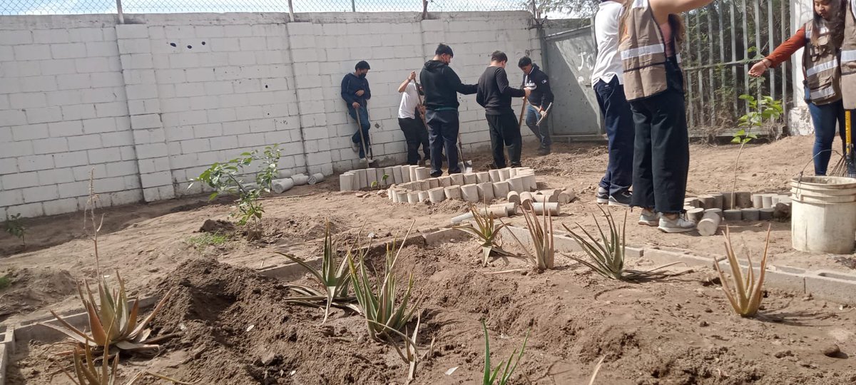 SECSonora's tweet photo. Sandía, frijol y rábano, serán las primeras hortalizas que sembrarán estudiantes de la secundaria “Alfredo E. Uruchurtu” de Hermosillo. Lo anterior es posible gracias a la política de transversalidad con la que trabajan la @SECSonora y la @SAGARHPASonora. https://t.co/jxRFLl3Eu4