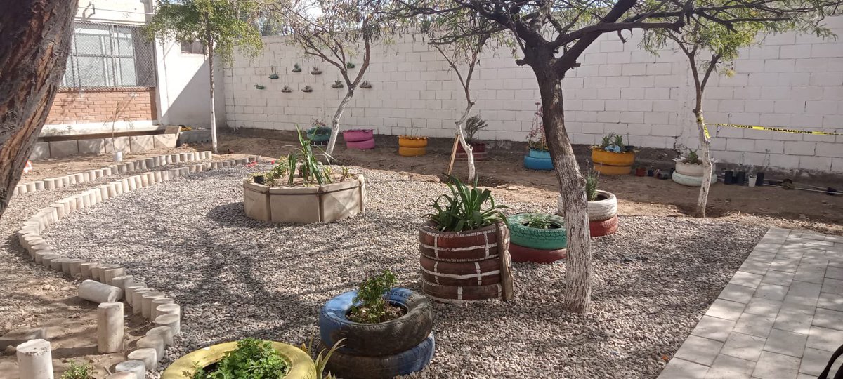 SECSonora's tweet photo. Sandía, frijol y rábano, serán las primeras hortalizas que sembrarán estudiantes de la secundaria “Alfredo E. Uruchurtu” de Hermosillo. Lo anterior es posible gracias a la política de transversalidad con la que trabajan la @SECSonora y la @SAGARHPASonora. https://t.co/jxRFLl3Eu4