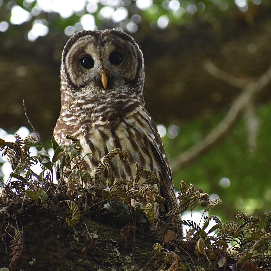 Steph Post 𓅩 tweet media