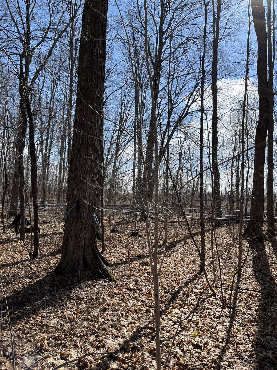 Meaghan Trudell tweet media