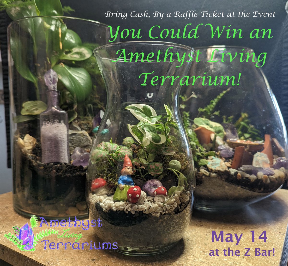 Everywhen_Info's tweet image. Purchase a raffle ticket at our Fundraiser to win an Amethyst Terrarium. 

Cash sales only for the raffle.
You must be present to win.  

ewp.ticketspice.com/reno2023

#everywhenproject #mothersday2023 #mothersdayraffle #supportnonprofits #supportlocalbusinesses #midtownbar #zbarreno