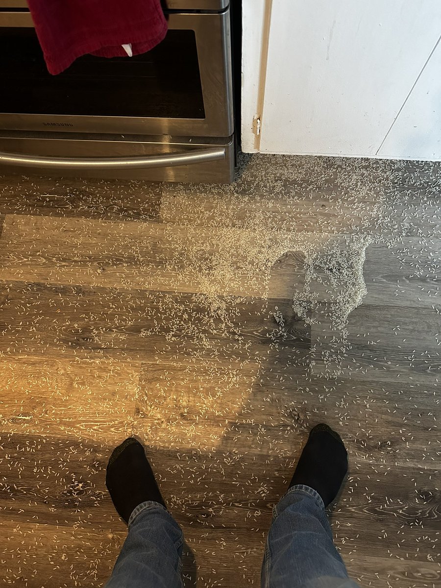 matt_maddox's tweet photo. I literally find myself incapable of action. https://t.co/sl6sKU5sur