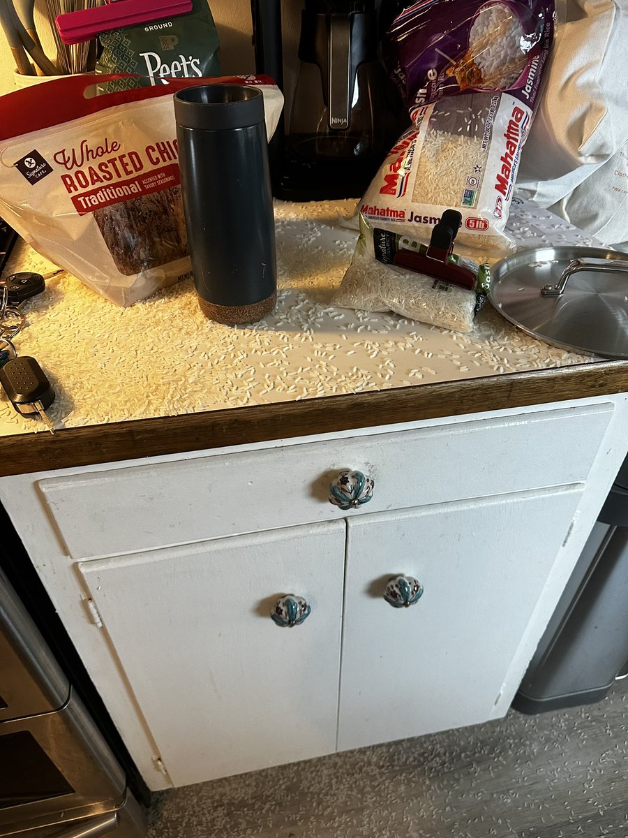 matt_maddox's tweet photo. I literally find myself incapable of action. https://t.co/sl6sKU5sur