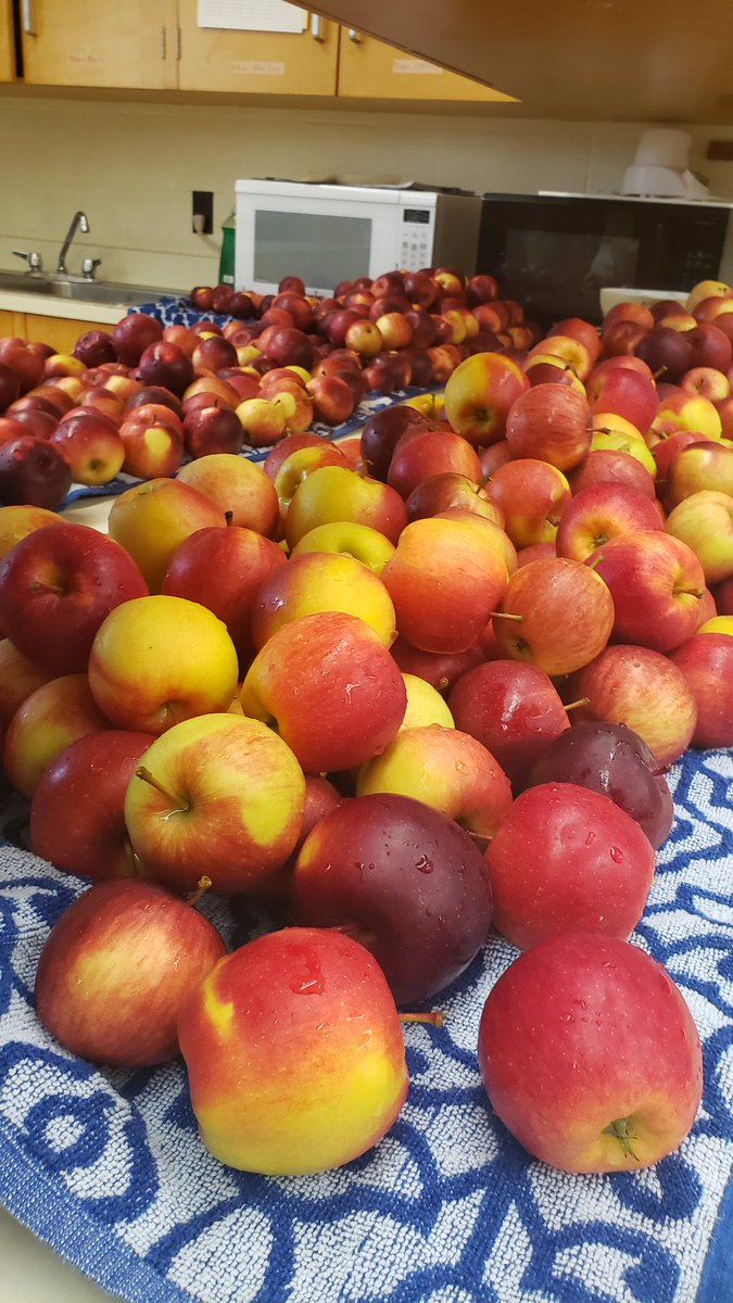 John Madalena tweet media