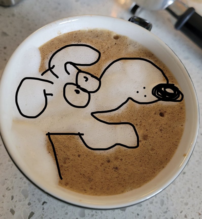 MoyTV🦦 tweet media