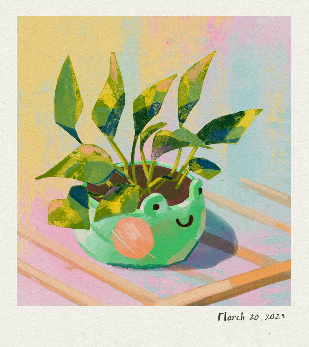 musetheart's tweet photo. A collection of cute pots https://t.co/tFASSerYbX