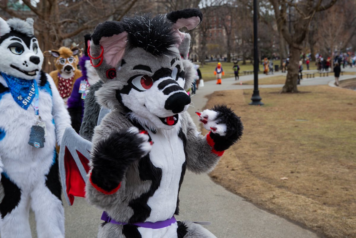 ⭐️Zero Dancing @ TFF ⭐️ tweet media