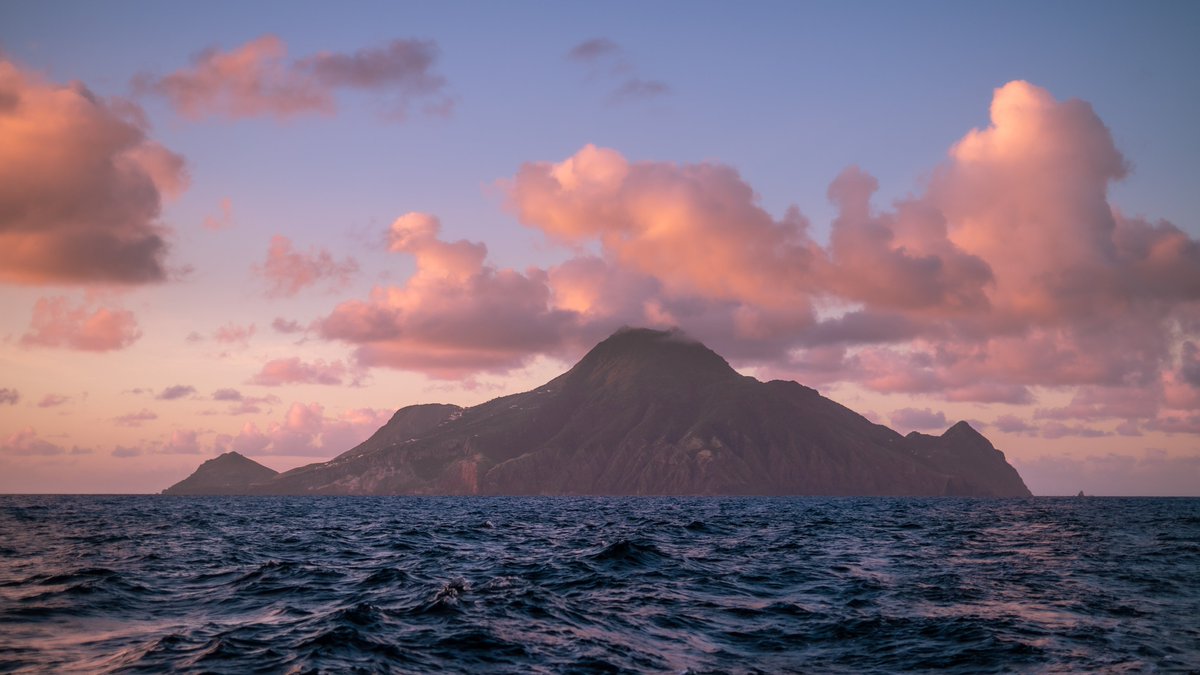 Intrepid tweet media