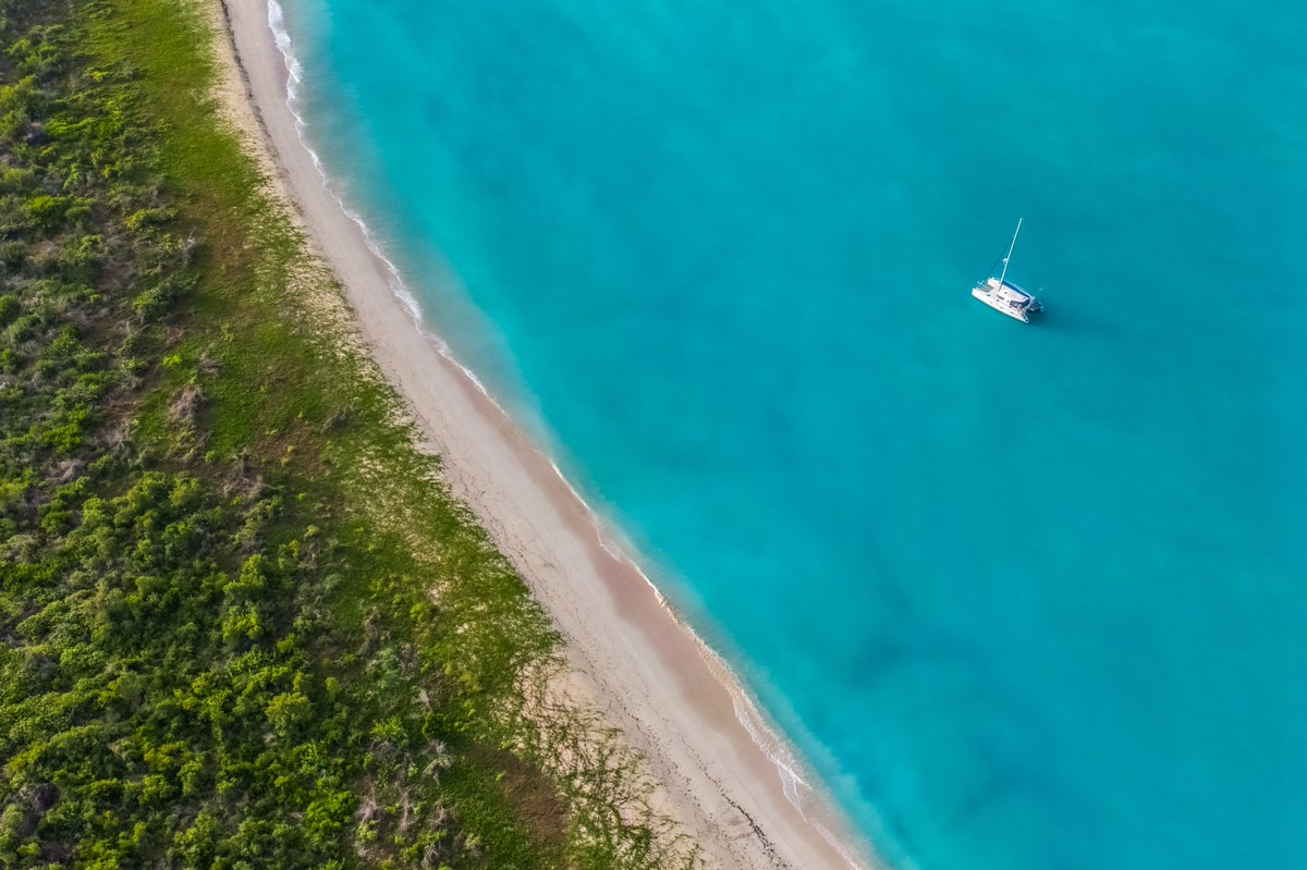 Intrepid tweet media