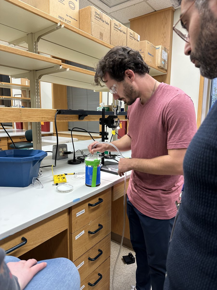 Kayla Perry, Ph.D. tweet media