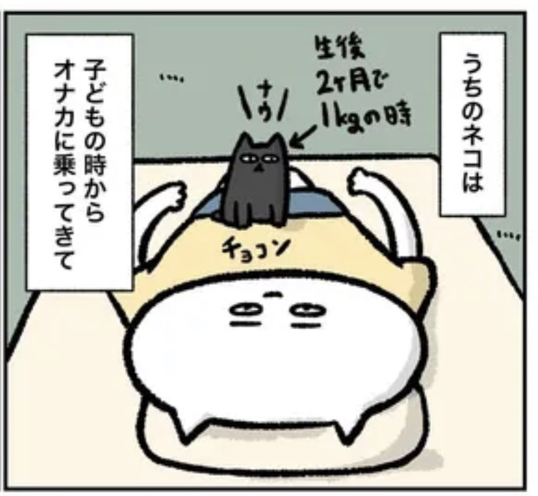 よめるもさんでエッセイ漫画14話目公開されてますー!!

エッセイマンガを書籍化したい人の物語【第14話】
https://t.co/P7ZO0eezKm 