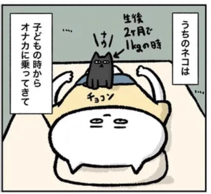 よめるもさんでエッセイ漫画14話目公開されてますー!!エッセイマンガを書籍化したい人の物語【第14話】 