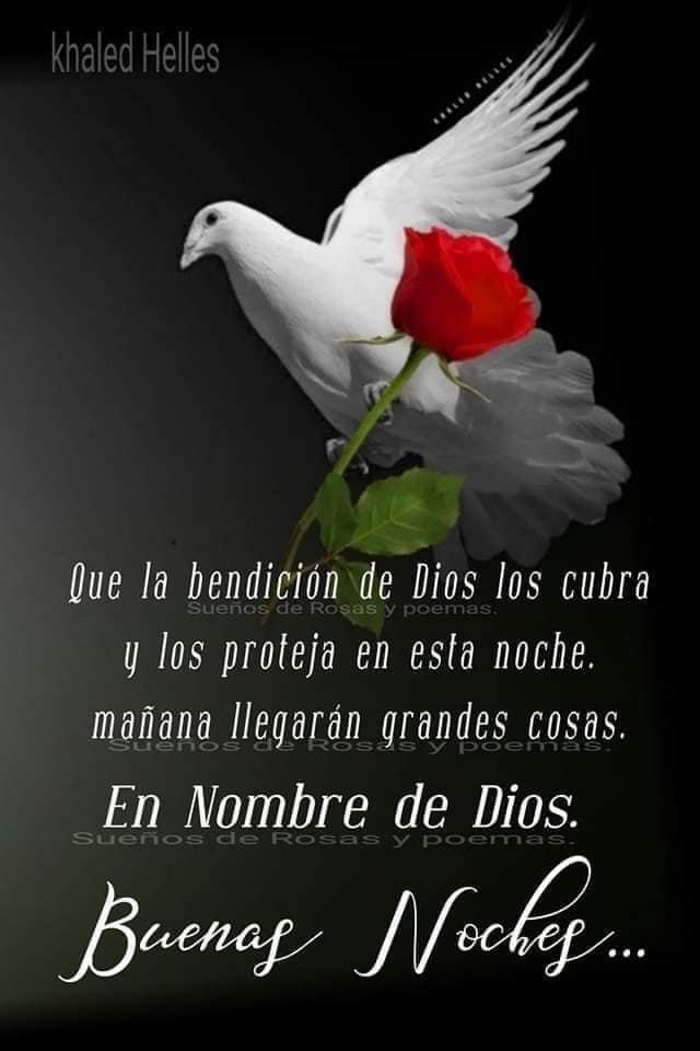 JuanaBH63's tweet photo. Hasta mañana  #UnDiaQueTermina https://t.co/xYxjNqAegQ