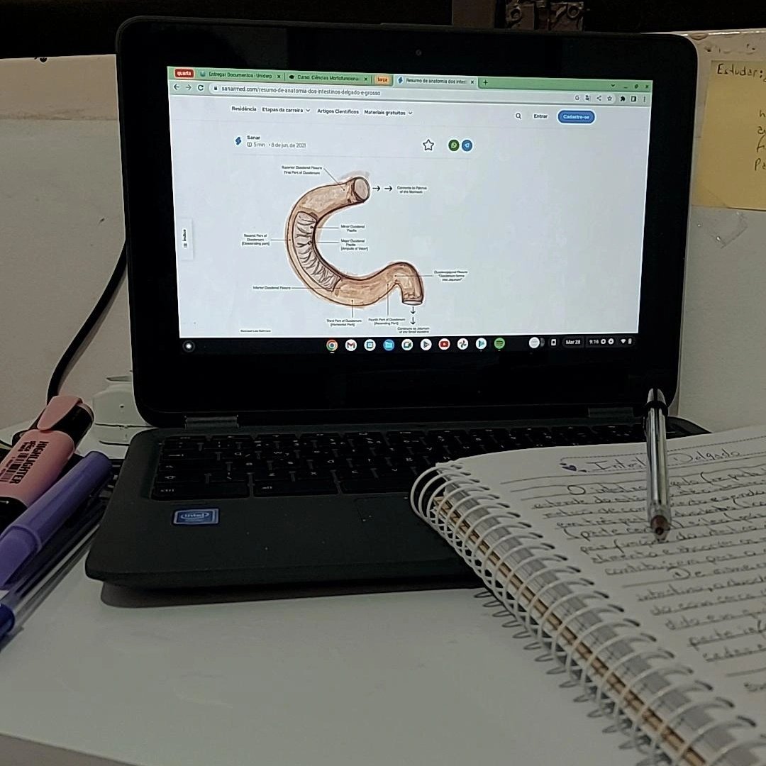 debstudyin's tweet image. 🧠°.• 28.03.2023
 —» literalmente 1h a mais que ontem, isso me deixou feliz. fiz oq era prioridade pra hoje e amanhã.
—» no começo da tarde eu tava morrendo de sono, e só fui tomar um cafézinho qnd acabei pra me ajudar a continuar pq tinha pesquisa pra fazer agora a noite.