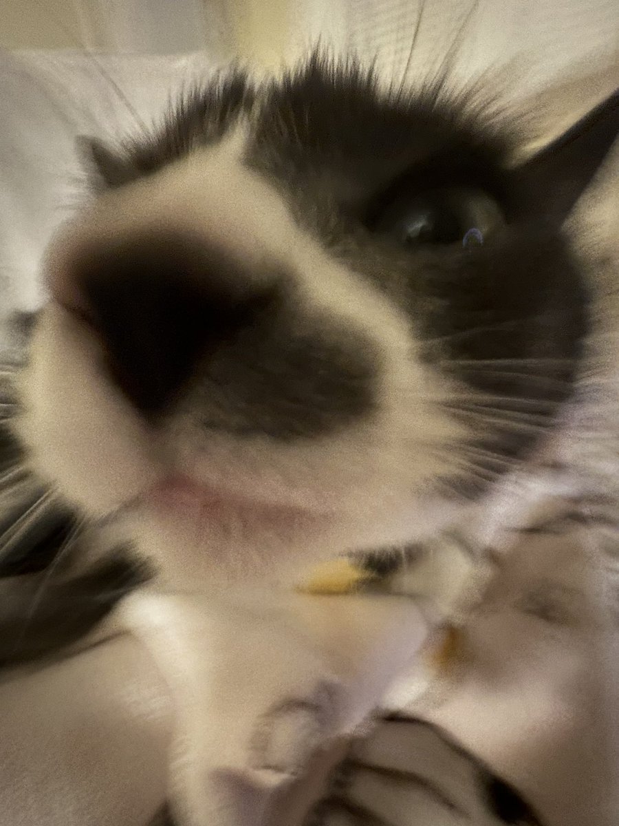 Christian Rodriguez 🇵🇷 tweet media