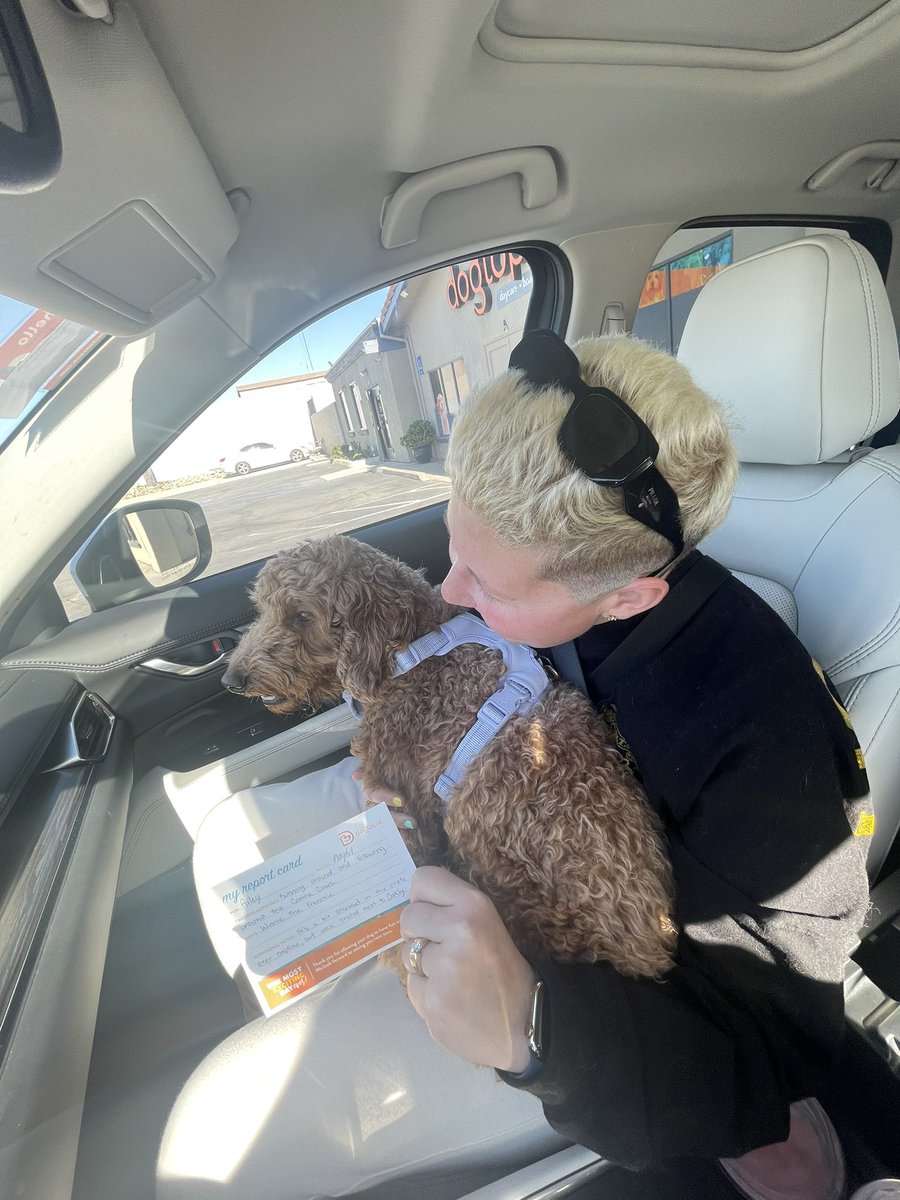 baileynbrawner's tweet photo. The boys had the best day at doggy daycare today. Putting this here in case you need a boost ❤️ https://t.co/nqmlp1Rffs