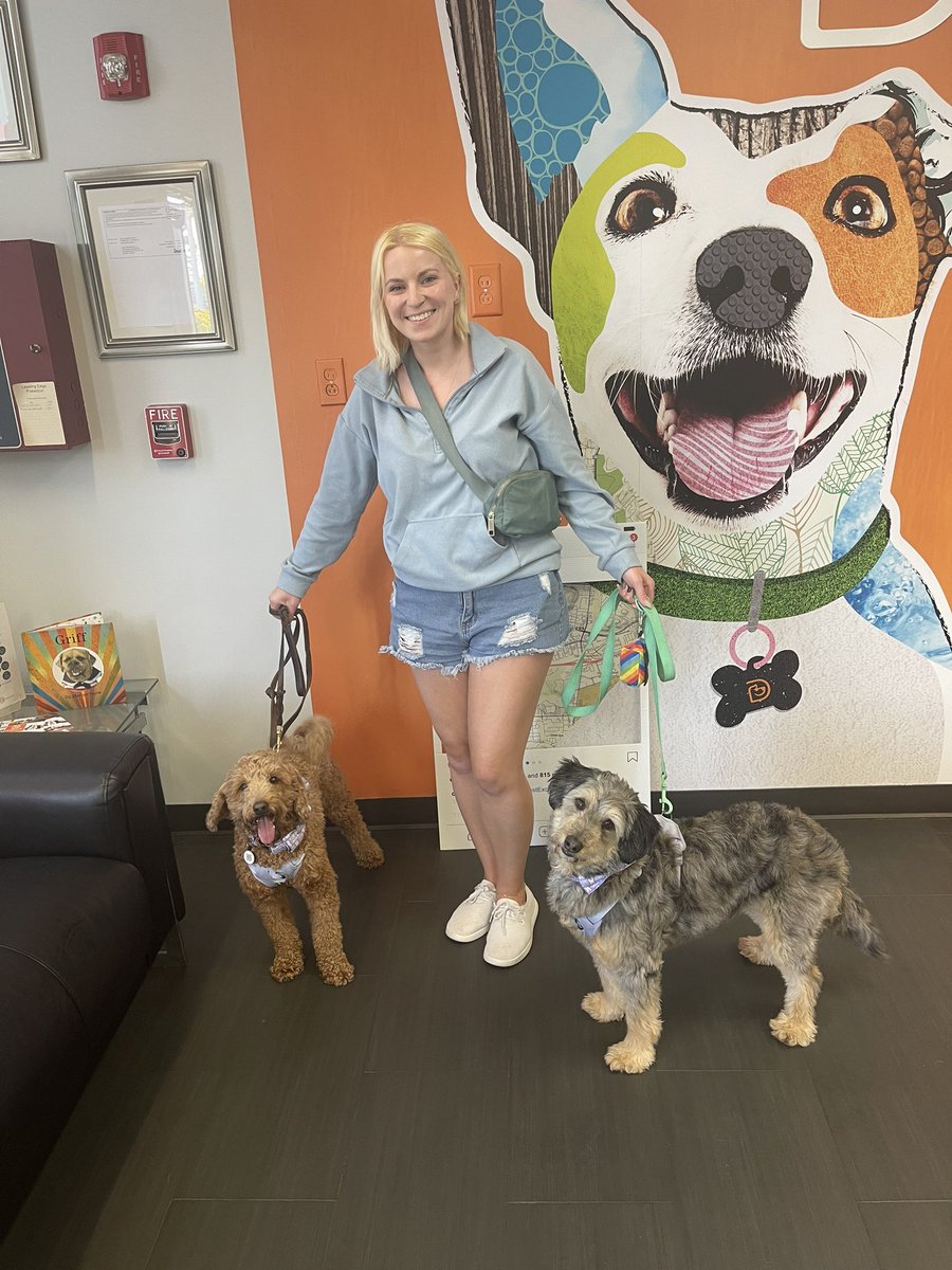 baileynbrawner's tweet photo. The boys had the best day at doggy daycare today. Putting this here in case you need a boost ❤️ https://t.co/nqmlp1Rffs