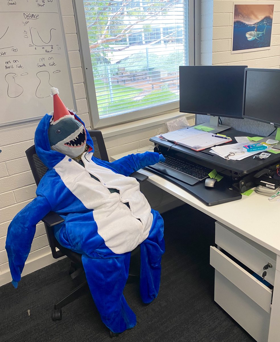SouthernSharkEG's tweet photo. When they say that scientists can look like their study species, I didn’t think it would happen to @JDennis_Sci https://t.co/QxqPAtM1mA