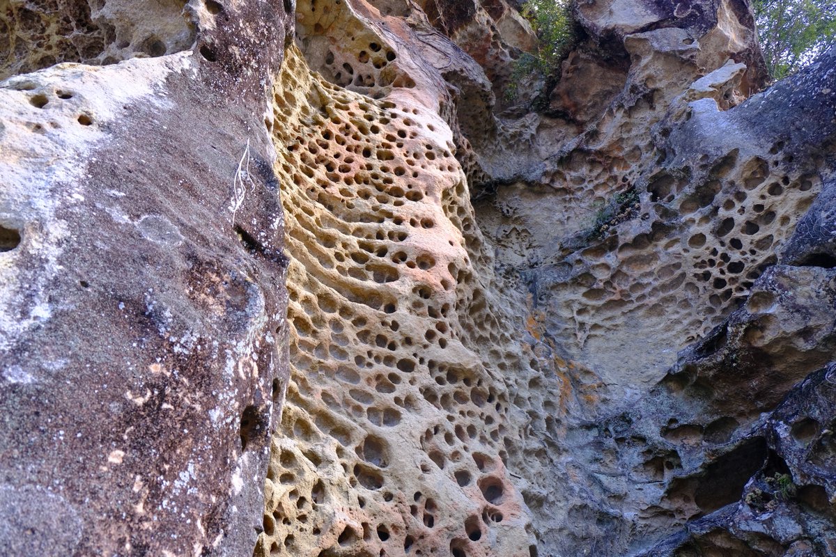 TRIPBASESTYLE's tweet photo. アンバサダー通信【和歌山】
圧倒的な自然の力を感じる場所「虫喰岩」
風化と浸食を繰り返して生み出された造形美は、見るものを圧倒します！
穴の開いた小石に糸を通して願掛けすると耳の病気が治る言い伝えも。
国指定の天然記念物は必見！

https://t.co/7RCeHpICf8

#フェアフィールド道の駅 https://t.co/uxTx4QGWFI
