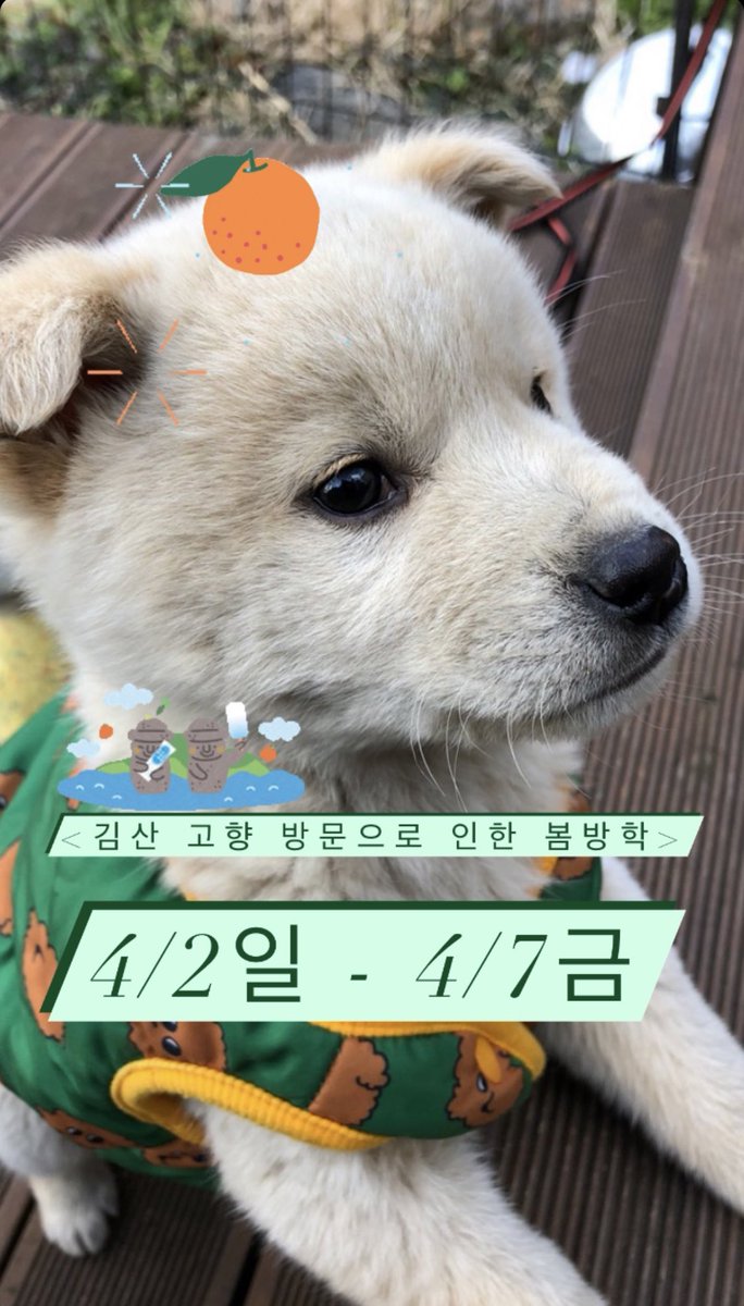 내이름은김산 tweet media