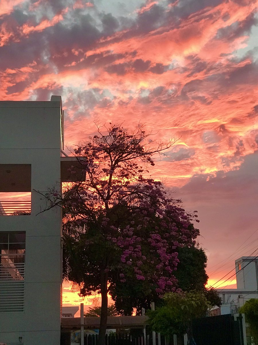 #Culiacán #amapa #sunset