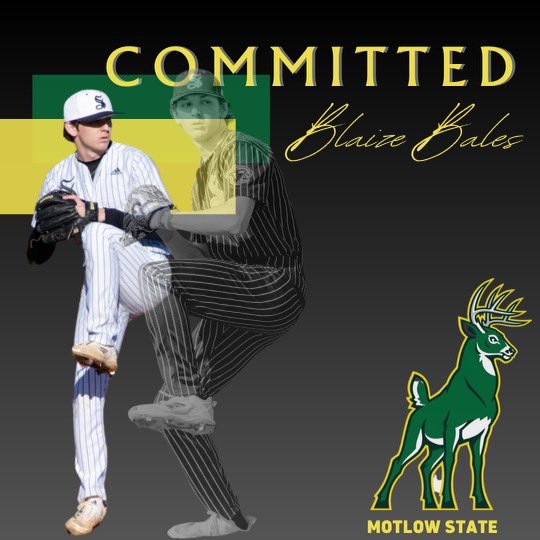 Blaize Bales tweet media