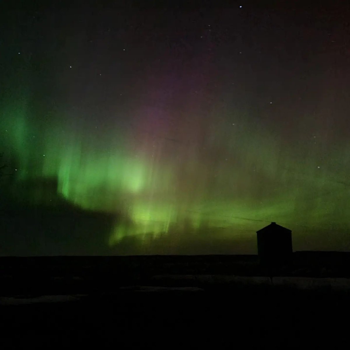 NEMTTOURISM's tweet image. Our night sky knows how to put on a show ✨

📷 instagram.com/kelsey_of_malta

#MissouriRiverCountry #NortheastMontana #MoreRoomToRoam #TravelMontana #ExperienceMontana #406 #LastBestPlace #BigSkyCountry #MontanaMoment #MontanaGram #OnlyInMontana #EasternMontana⁠