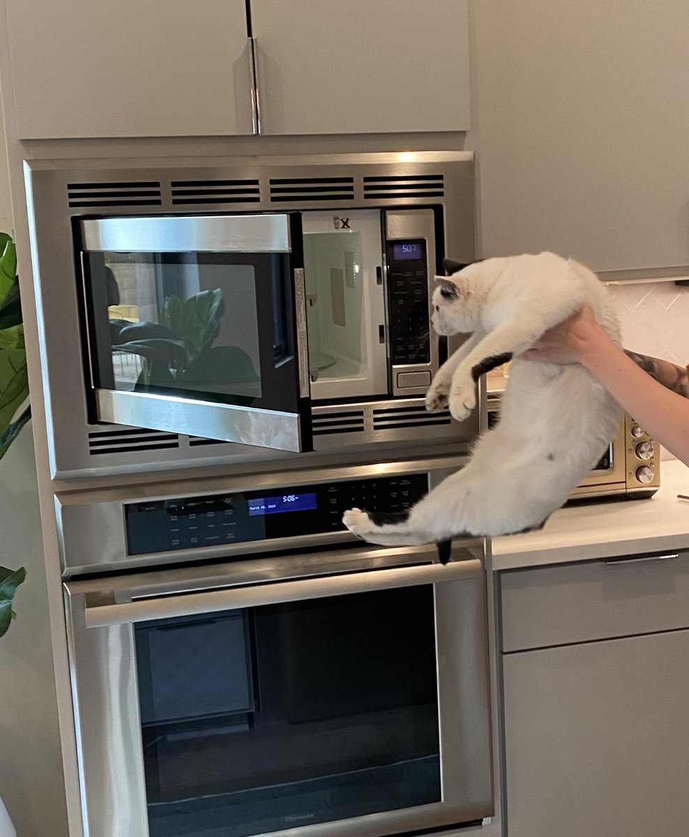 peachjars² tweet media