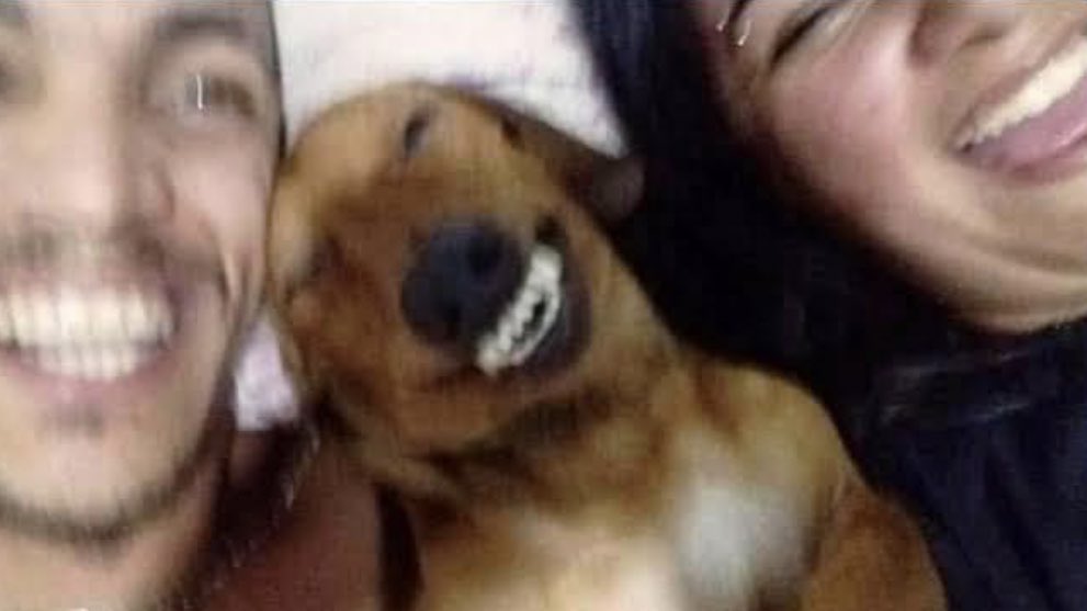 this how im tryna be