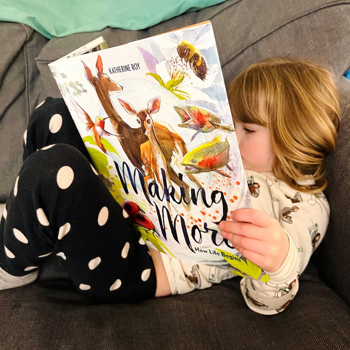 KRoyStudio's tweet photo. It is so satisfying to finally see my book in the hands of kids. 🙏😊 @NYRBooks @wwnorton #makingmore #storytime https://t.co/WPLJsuYrFj