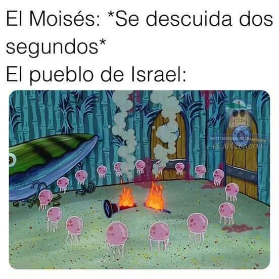 Fernand87181652's tweet photo. JAJAJA ESTA por qué me dio risa 😂
#JesusEnUNIFE42 por @UnifeMx https://t.co/SADcEP6FtB