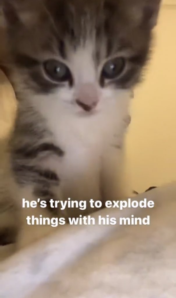 harryskiwiis's tweet image. well now I’m scared to do anything other than refresh my timeline all day