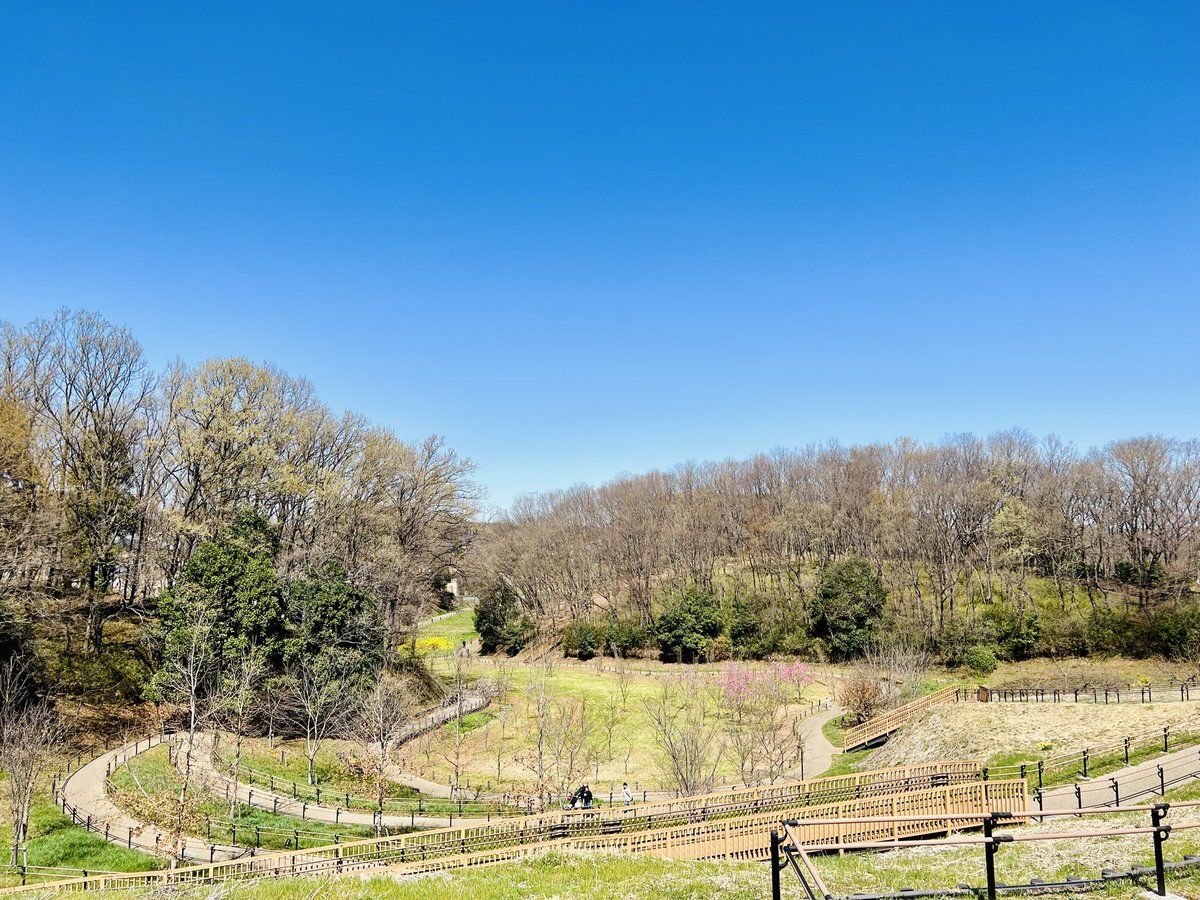 Tokyo_Suburbia's tweet photo. spring hill #tokyo #japan #life #park #spring #hill #botanical #photo #culture #magazine #東京 #house #style #huge #sky #sculpture #life #color #instagood #city #scene #suburbia #landscape  #design #clean #travel #photography #interior #magazine #morning #art #culture #tree https://t.co/sOT6lV0HsJ