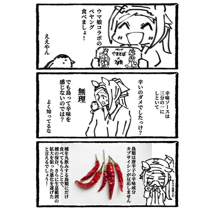 唐辛子はなぜ辛いのか?🌶

実は鳥と密接な関係があります! 