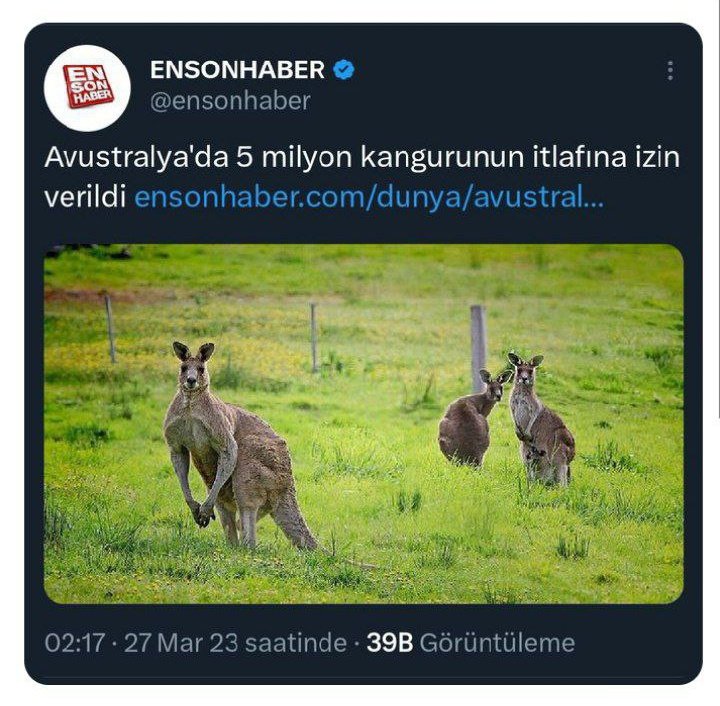 aliosmanonder34's tweet photo. Paris İklim Anlaşması'nın ilk pilot ülkelerinden biri de Avustralya. Önce develerden başladılar, sonra balıklar, sonra büyükbaşlar, şimdi de Kangurular. Bu olaylara 'dalga' gözüyle bakanların tamamı yakın zamanda aramızda olmayacak. Basiretsizliğinin bedeli ödenecek! https://t.co/kN81QbRdnv