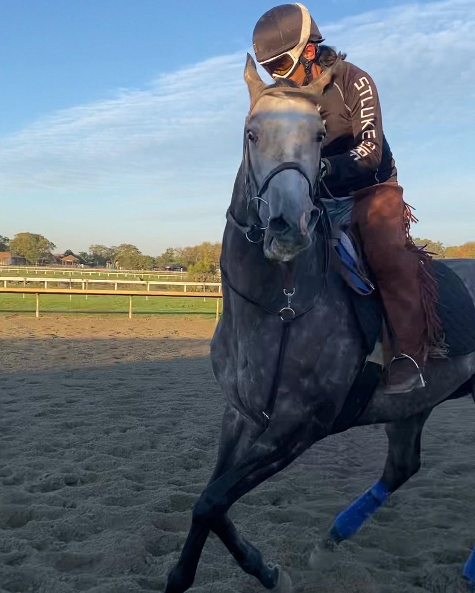 livipitch22's tweet photo. Happy Birthday to the fastest clown on turf: Zyramid. Training great and has come back bigger and stronger than ever!  Can’t wait for this years turf races with this #turfmonster. Extra treats for the barn on my next visit! 🚀 🐎💨💨💨💨 @ThePewterStable @PTHA17 #cityzip https://t.co/3XFA1EdFti