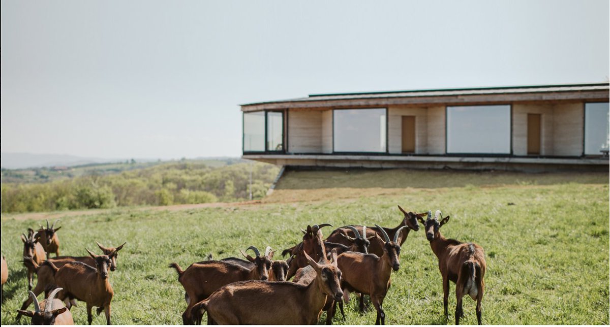 HemphouseP_rn's tweet photo. Hempcrete home with goats, Serbia, built by Hemplicity. Photo courtesy of Sonja Lazukic

Find the new Hemp Building Directory 2023 here:
https://t.co/cvIpyyZ9zU

#healthyhomes #hemphouse #industrialhemp #hempbuilding  #sustainablebuilding https://t.co/LGQY5637do