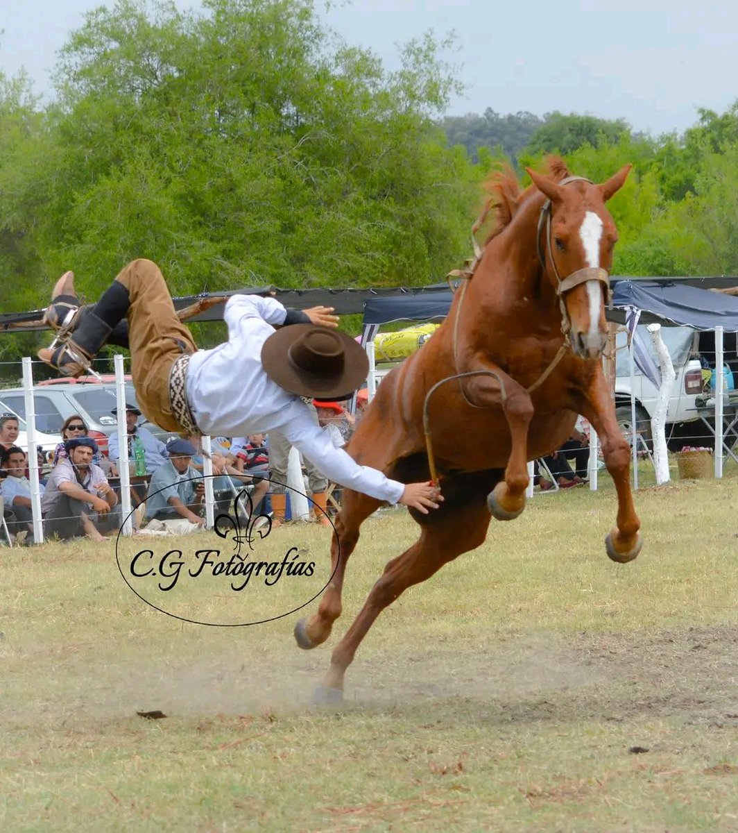 MirkoBarreto7's tweet image. Las pérdidas se cuentan también!!!