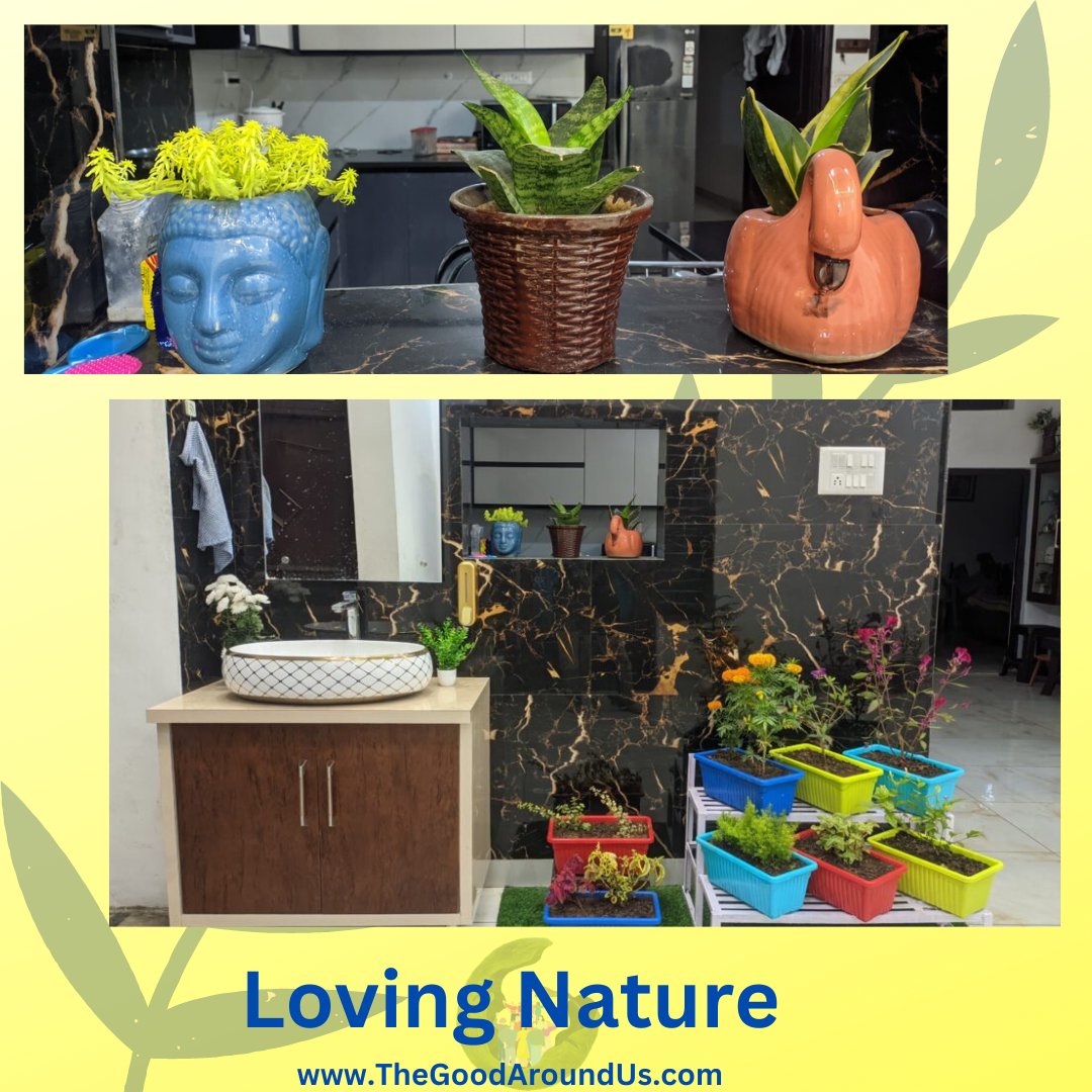 GoodRemembered's tweet photo. Loving Nature
This short story is written by Jasmeet Singh. He has planted many #trees and #plants in his house. He learned a lot in his childhood about #environment.
 🪴🪴🌱🌱
To read story, visit this link 🔗❣️❣️
https://t.co/7LCvqEX6iH
#makinggoodremembered #earth #planet https://t.co/JCEQK0E6Ar