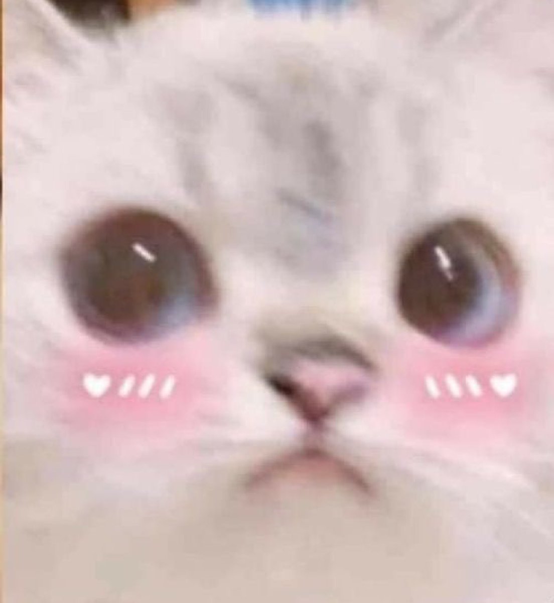 𝐗𝐀𝐘𝐀𝐇 (@thvloletraven) on Twitter photo 