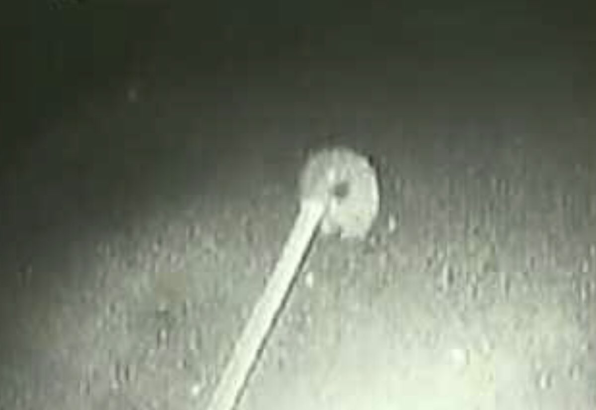 theufosecret's tweet image. UFO Tether Incident” of 1996, was a space shuttle mission flown by Space Shuttle Columbia. What do you think? Ice particles or UFOs? 
#tetherincident #1990s #90s #1996 #ufo #ufosighting #ufos #uap #uaps #unidentifiedflyingobject #aliens #theufosecret #ufocommunity #ufotwitter