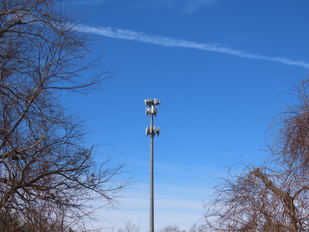 sdoppler2's tweet photo. Kind of the opposite of Macro but… a cellular
#MarchMacroChallenge https://t.co/kwCEjL6dfc
