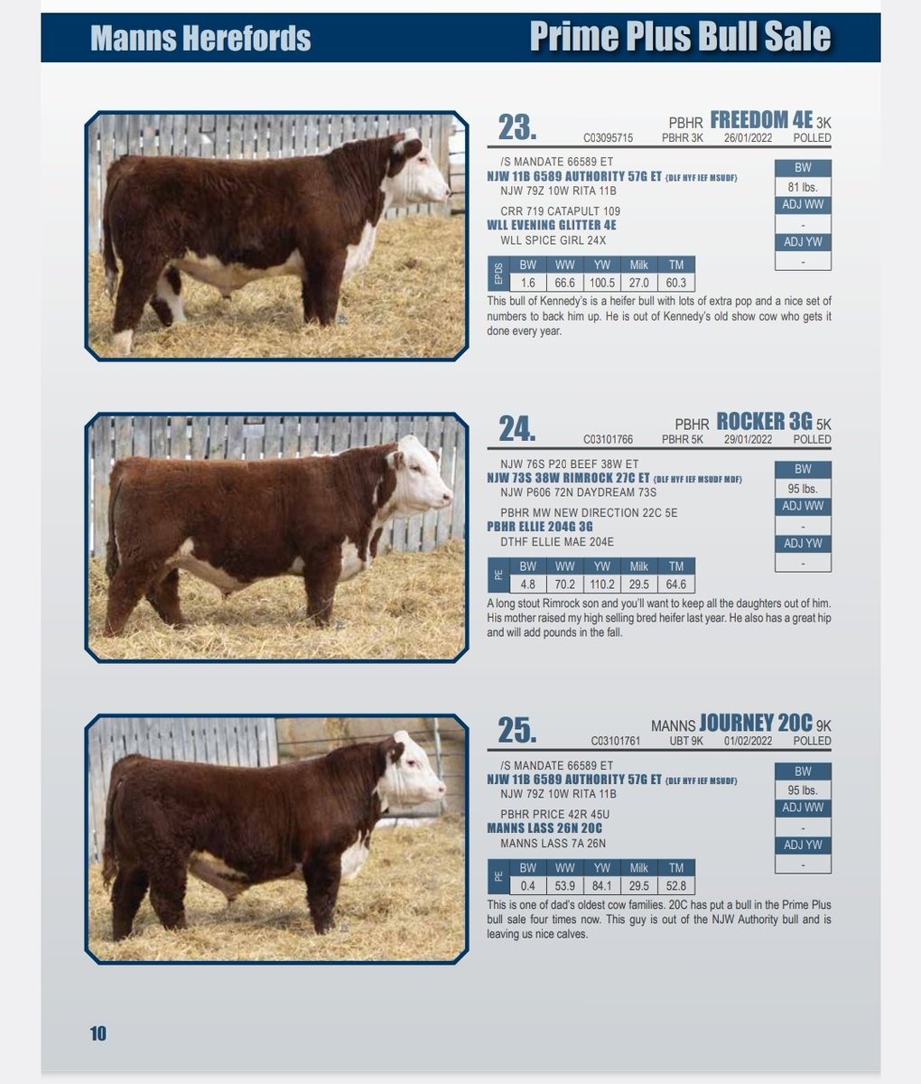 Heather Manns tweet media