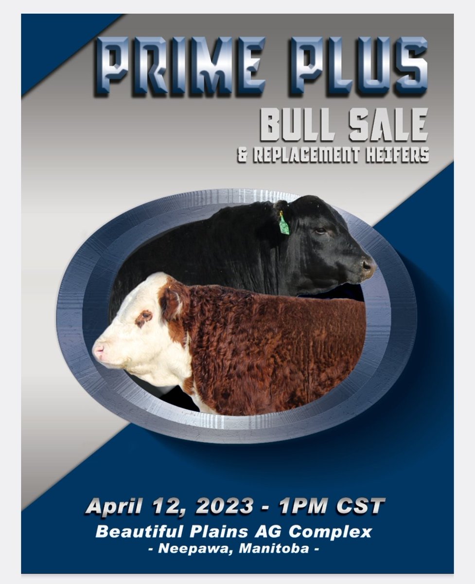 Heather Manns tweet media