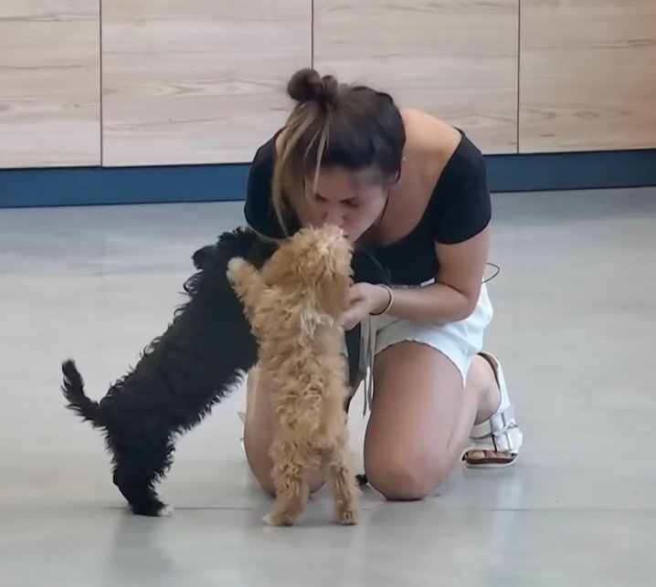esposoxytocin's tweet photo. Esta bien si les cae mal Romina pero no finjan demencia esos perritos siempre amaron a Romina es su mamá #GranHermano #GH22 https://t.co/jJAu6cLRBb
