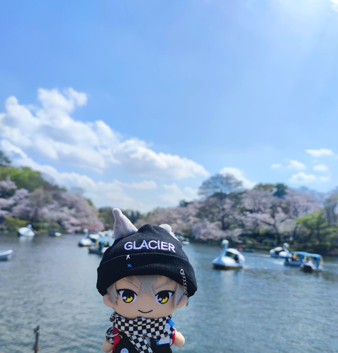 rabbitblack_P's tweet photo. 好日和✨✨💕 https://t.co/eXcdck4NB8