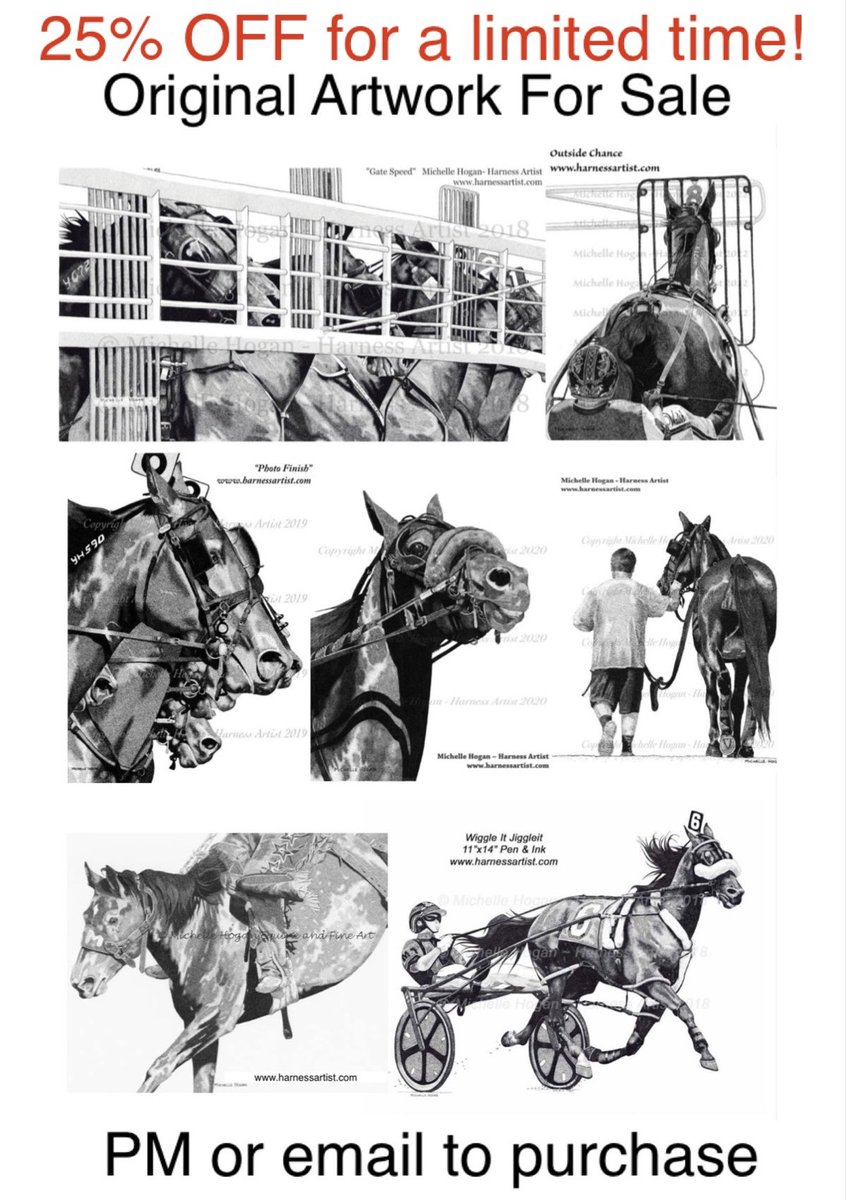 Michelle Hogan tweet media