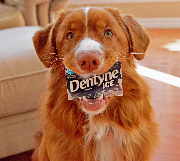 ACHEBONE's tweet photo. New artwork for sale! - "Dentyne Ice " - https://t.co/2RtaoQQDKn @fineartamerica https://t.co/eikAYvTE6s