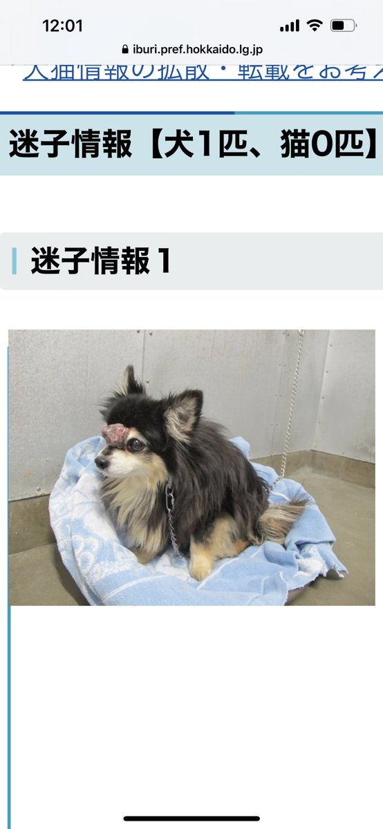 小人のまんぷく✨※犬猫ブリーダー様用ペット用品 | hak.unideb.hu