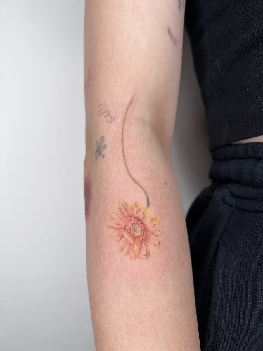 _nanyeon's tweet photo. Gerbera
#tattoo #colortattoo #flowertattoo #gerberatattoo #finetattoo #delicatetattoo #tattoogirl #seoultattoo #bkktattoo #tokyotattoo #latattok #nyctattoo #タトゥー #東京タトゥー https://t.co/GWOv4g0eHp